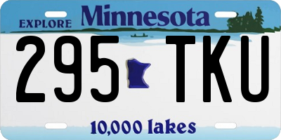 MN license plate 295TKU