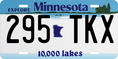 MN license plate 295TKX