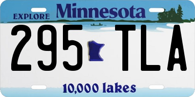 MN license plate 295TLA