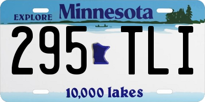 MN license plate 295TLI