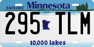 MN license plate 295TLM