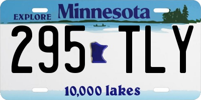 MN license plate 295TLY