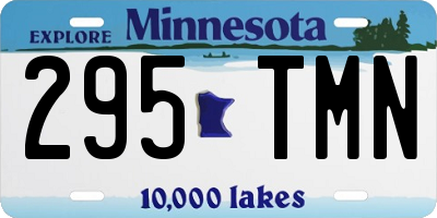MN license plate 295TMN