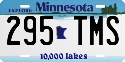 MN license plate 295TMS