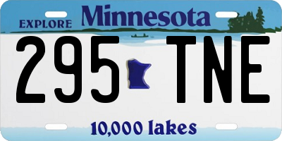 MN license plate 295TNE