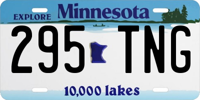 MN license plate 295TNG