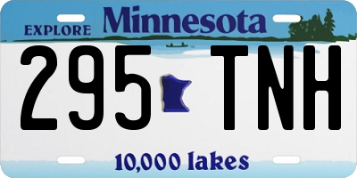MN license plate 295TNH