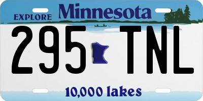 MN license plate 295TNL