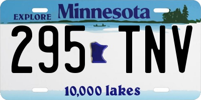 MN license plate 295TNV