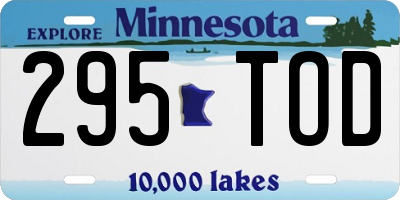 MN license plate 295TOD