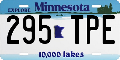 MN license plate 295TPE
