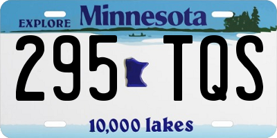 MN license plate 295TQS