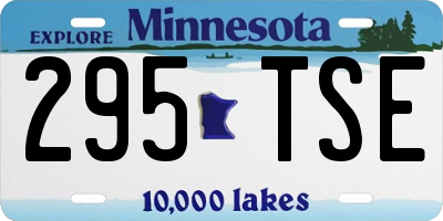 MN license plate 295TSE