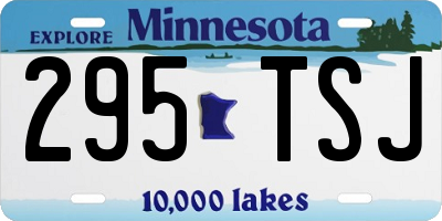 MN license plate 295TSJ