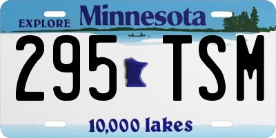 MN license plate 295TSM