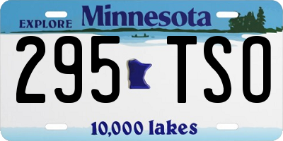 MN license plate 295TSO