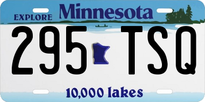 MN license plate 295TSQ