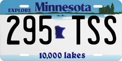 MN license plate 295TSS