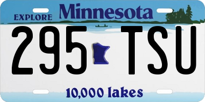 MN license plate 295TSU
