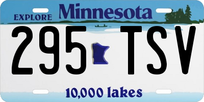 MN license plate 295TSV