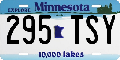 MN license plate 295TSY