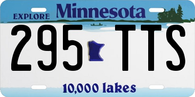 MN license plate 295TTS