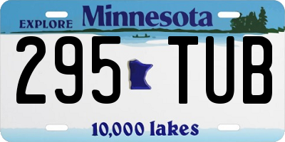 MN license plate 295TUB