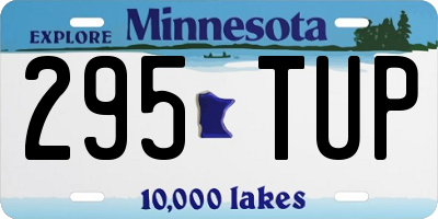 MN license plate 295TUP