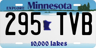 MN license plate 295TVB
