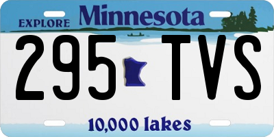 MN license plate 295TVS
