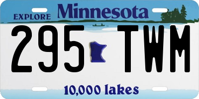 MN license plate 295TWM