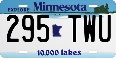 MN license plate 295TWU