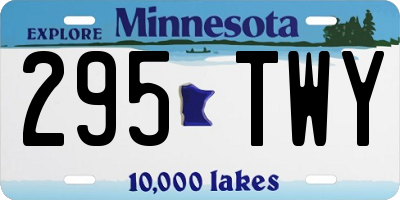 MN license plate 295TWY