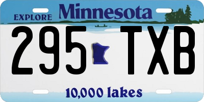 MN license plate 295TXB