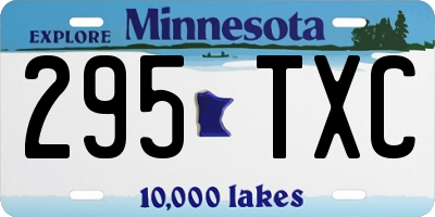 MN license plate 295TXC