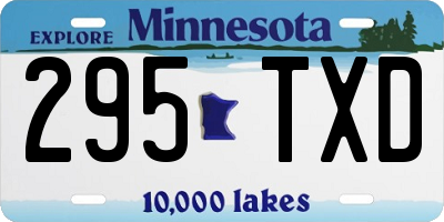 MN license plate 295TXD