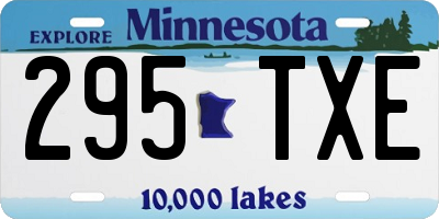 MN license plate 295TXE