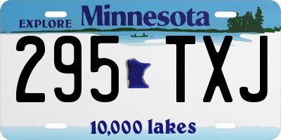 MN license plate 295TXJ