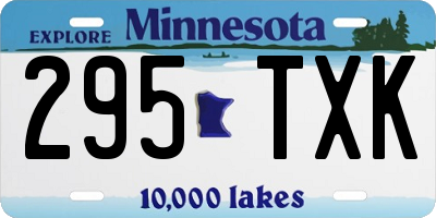 MN license plate 295TXK