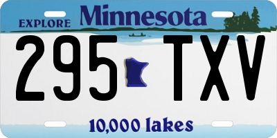 MN license plate 295TXV