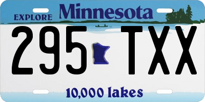 MN license plate 295TXX