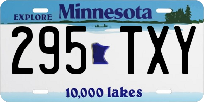 MN license plate 295TXY