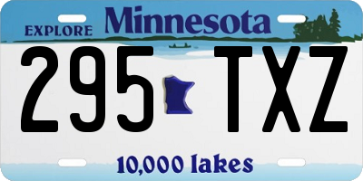 MN license plate 295TXZ