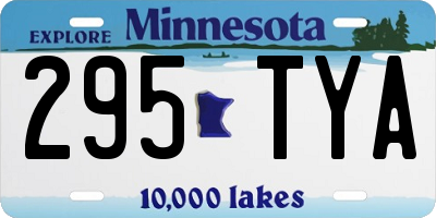 MN license plate 295TYA