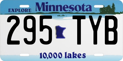 MN license plate 295TYB