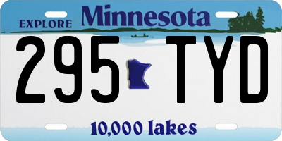 MN license plate 295TYD