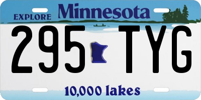 MN license plate 295TYG