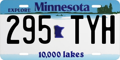 MN license plate 295TYH