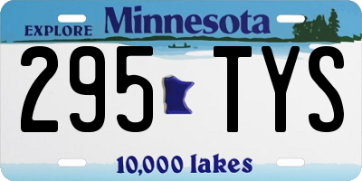 MN license plate 295TYS