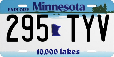 MN license plate 295TYV